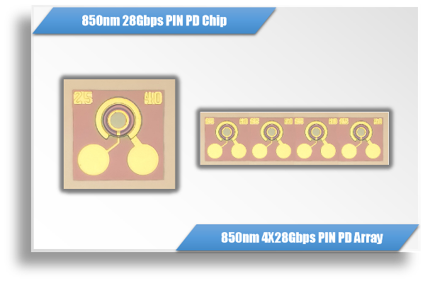 850nm 28Gbps / 112Gbps GaAs PD Chip & 1X4 Array