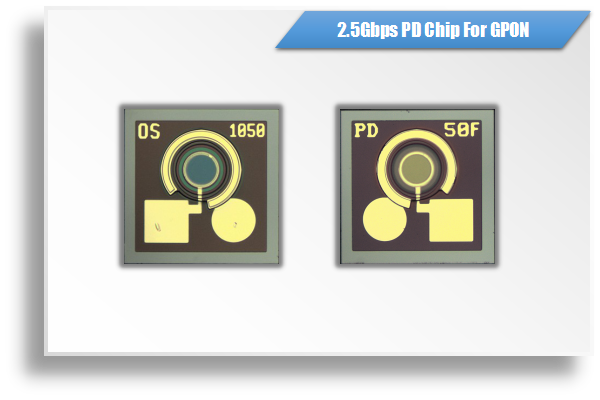 InGaAs 2.5Gbps PIN PD Chip For GPON