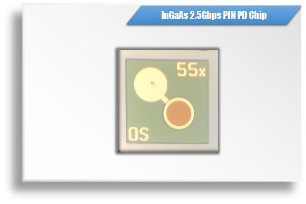 55um/50um InGaAs 2.5Gbps PIN PD芯片